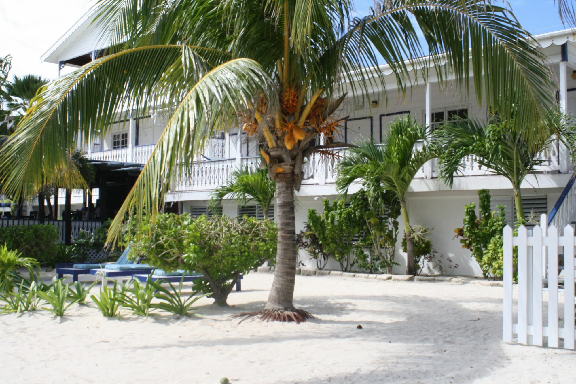 Holiday Hotel San Pedro  Kültér fotó